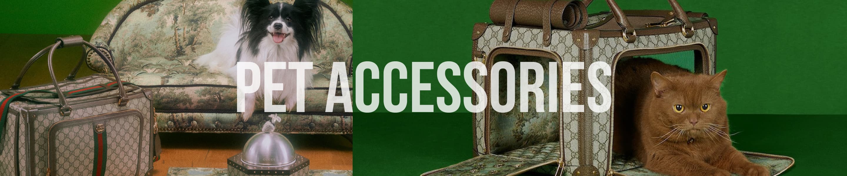 Pet Accessories