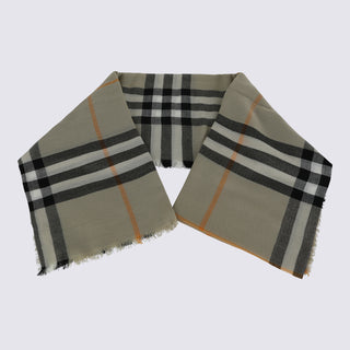 Burberry Scarfs