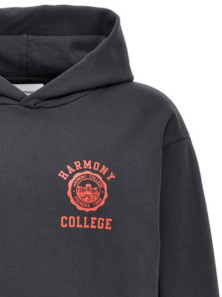 Sany College Emblem Hoodie