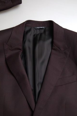 Maroon Martini Slim Fit 2-piece Suit