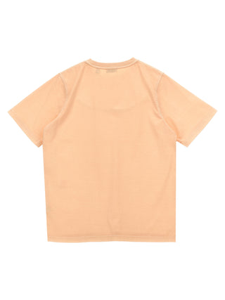 Cedar T-shirt