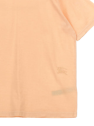 Cedar T-shirt