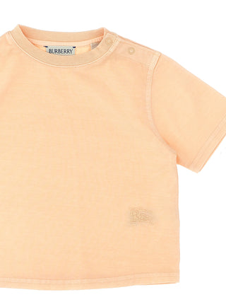 Cedar T-shirt