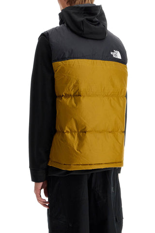 Men's Puffer Vest