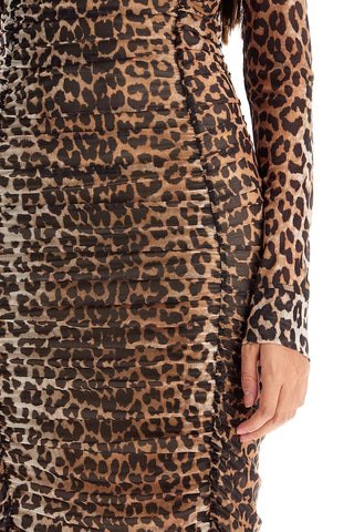 Animal Print Midi Dress In Mesh