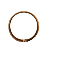 Gold 925 Silver Ring