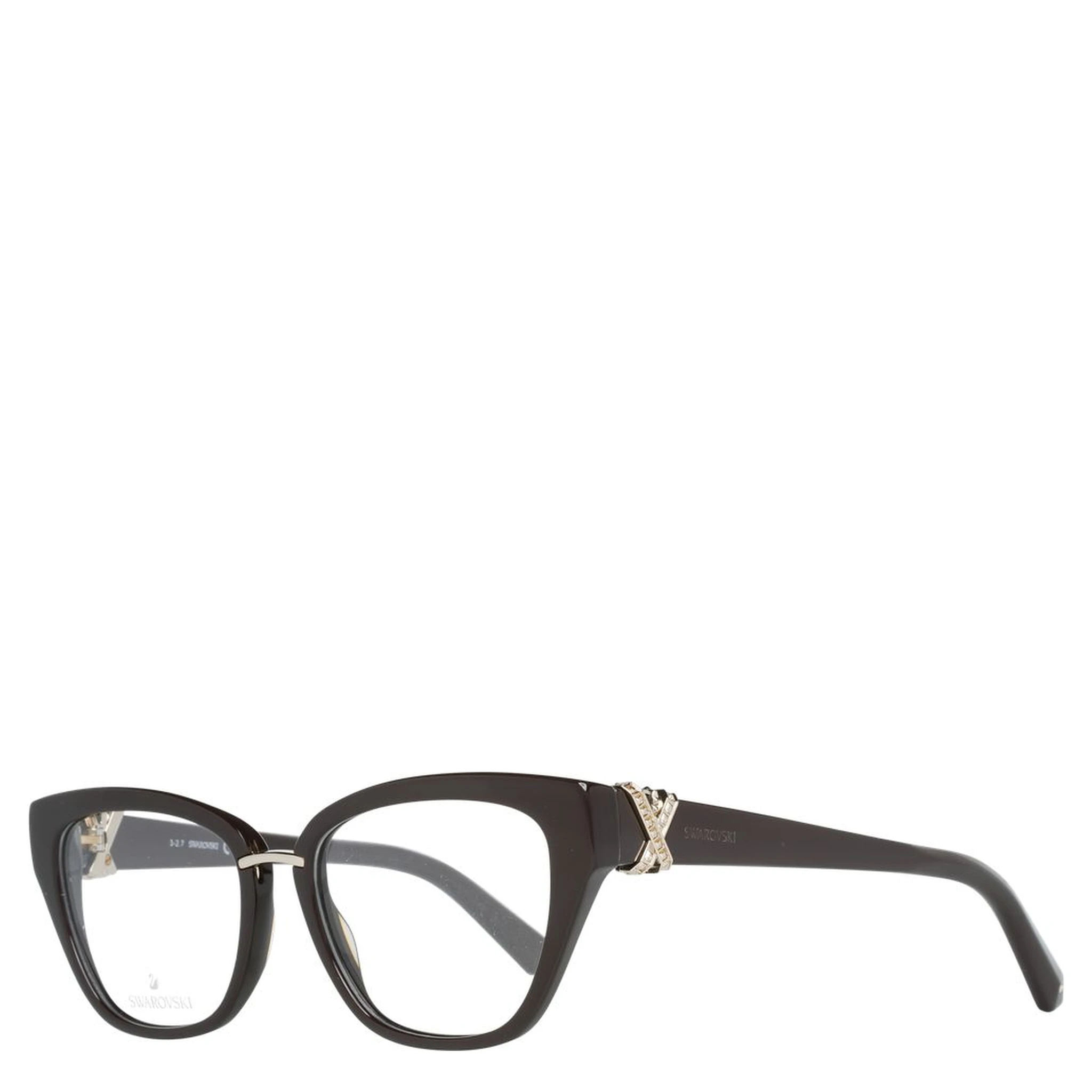 Brown Plastic Glasses (Frames)
