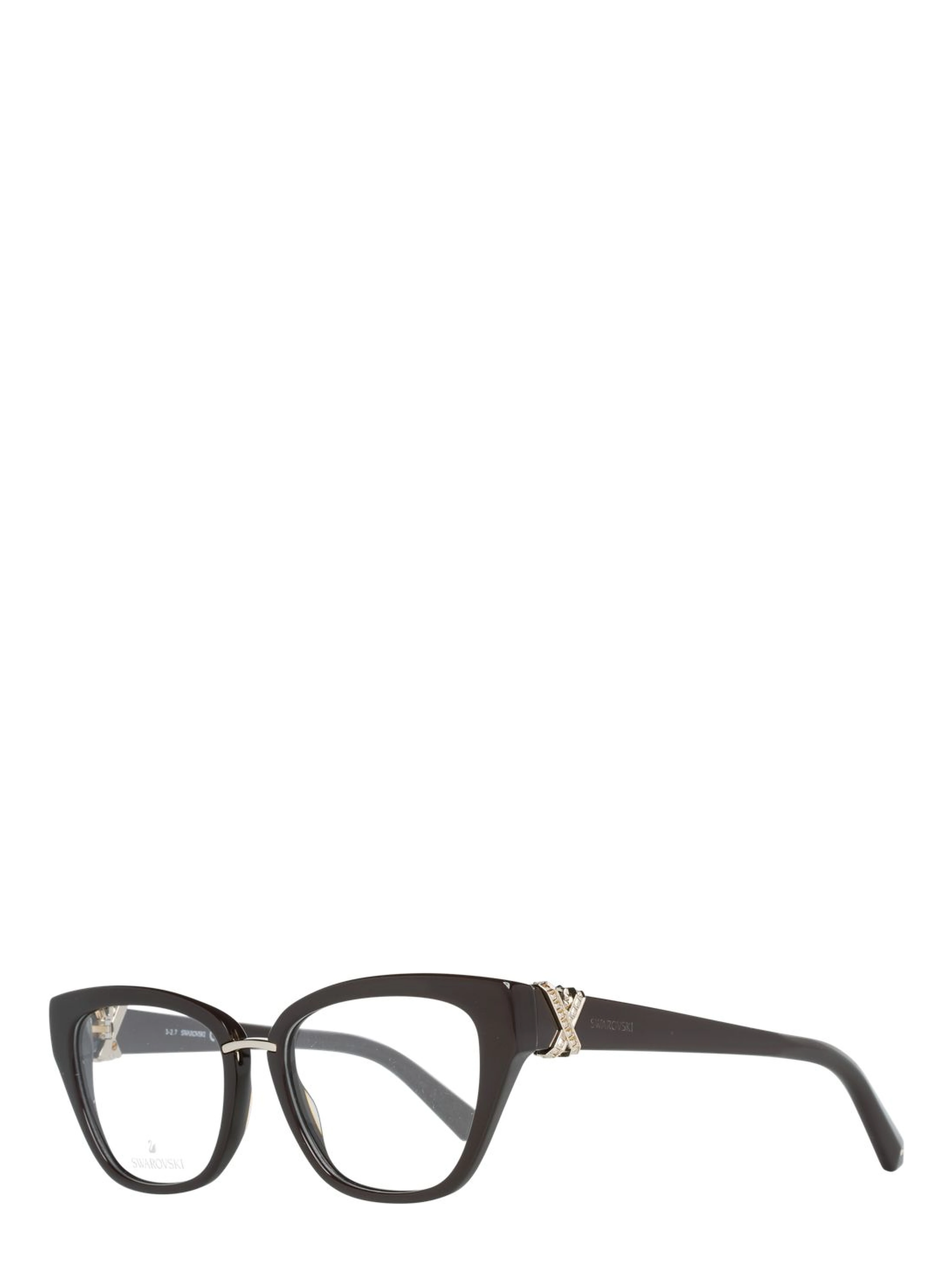 Brown Plastic Glasses (Frames)