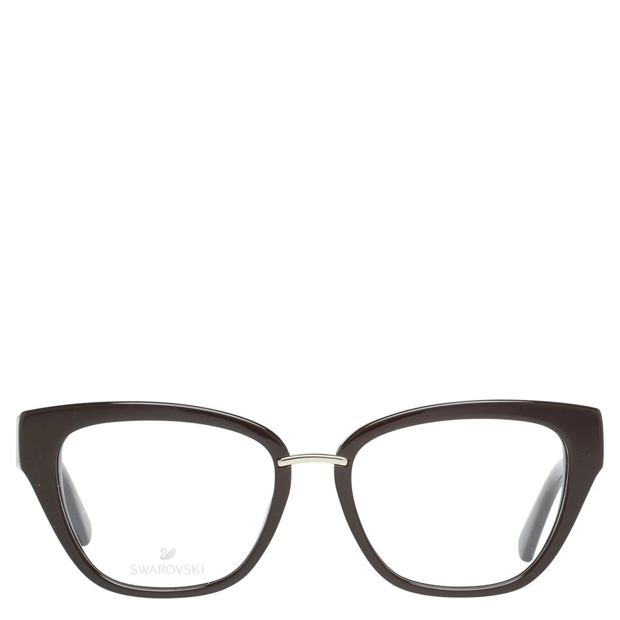 Brown Plastic Glasses (Frames)