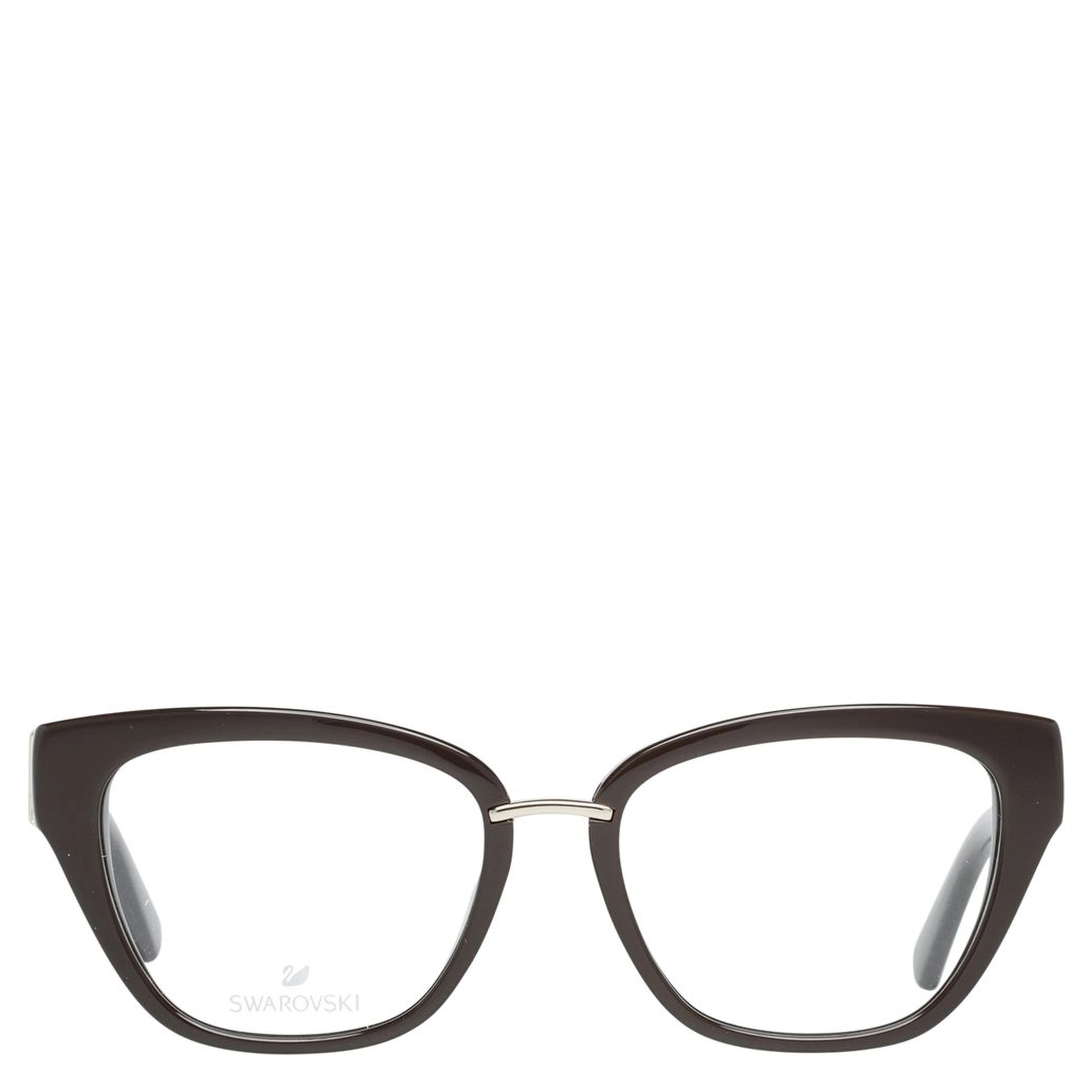 Brown Plastic Glasses (Frames)