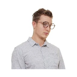 Brown Metal & Plastic Glasses (Frames)