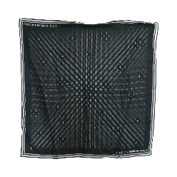 Blue Foulard Silk Women  Scarf