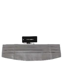 Silver Wide Belt Silk Cummerbund