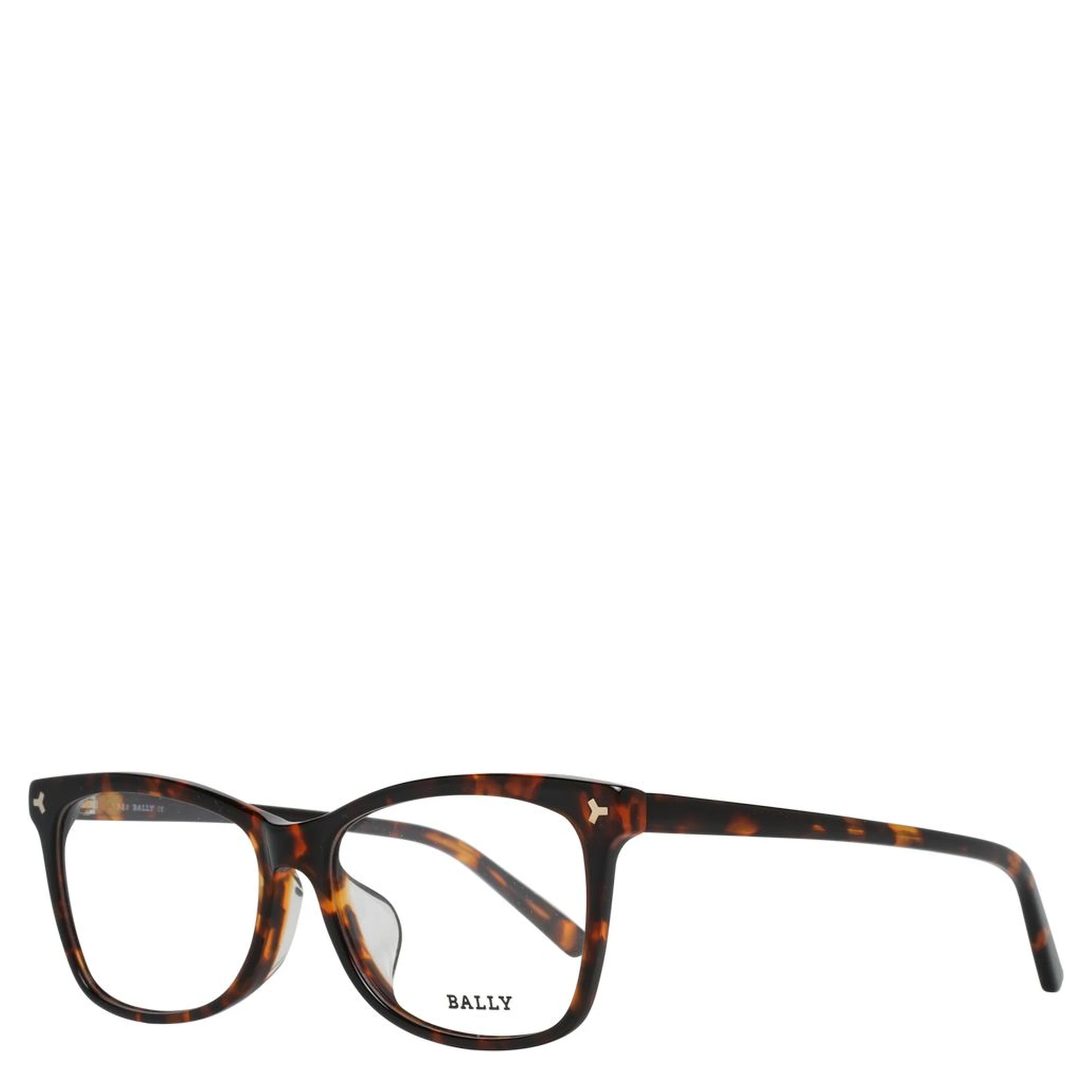 Brown Plastic Glasses (Frames)