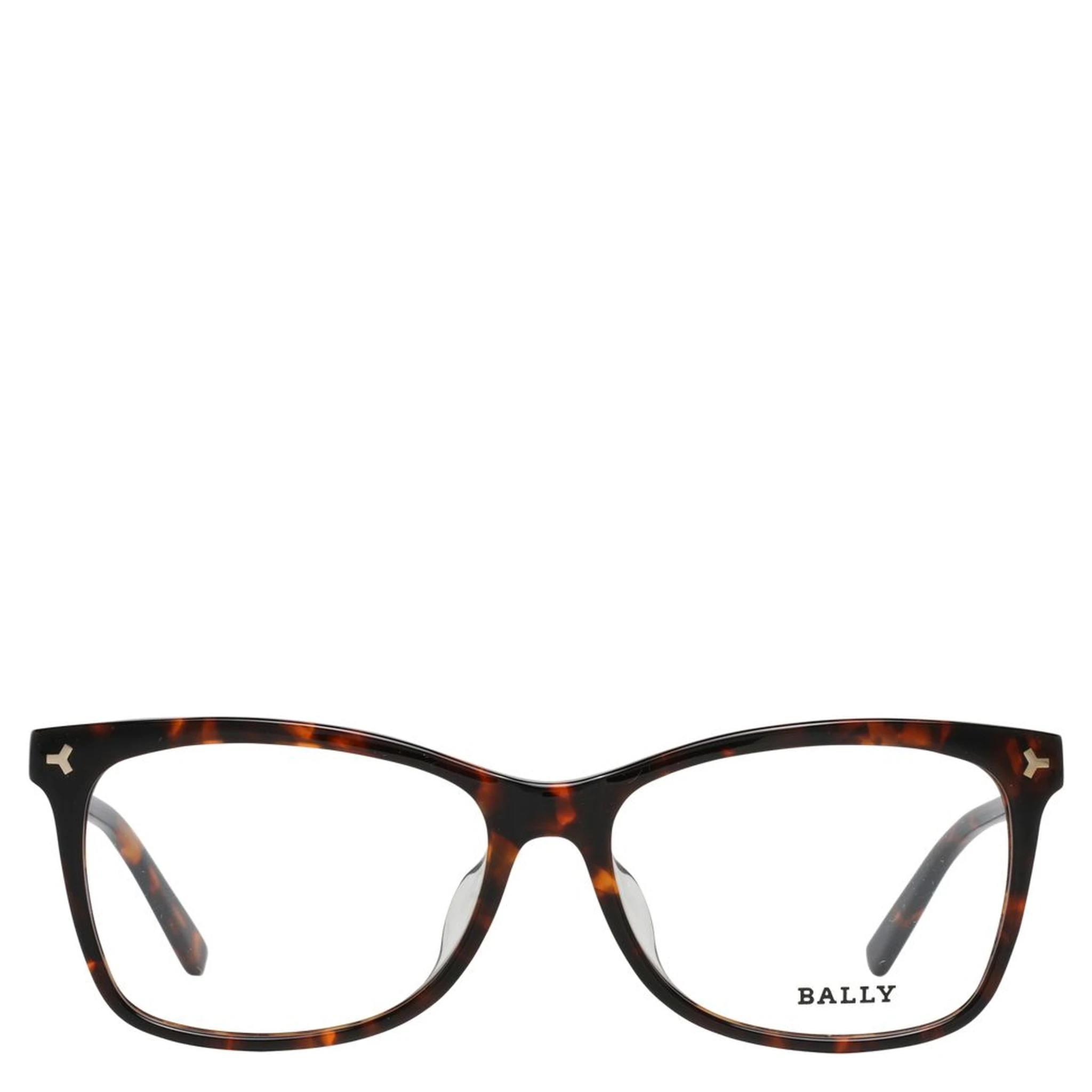 Brown Plastic Glasses (Frames)
