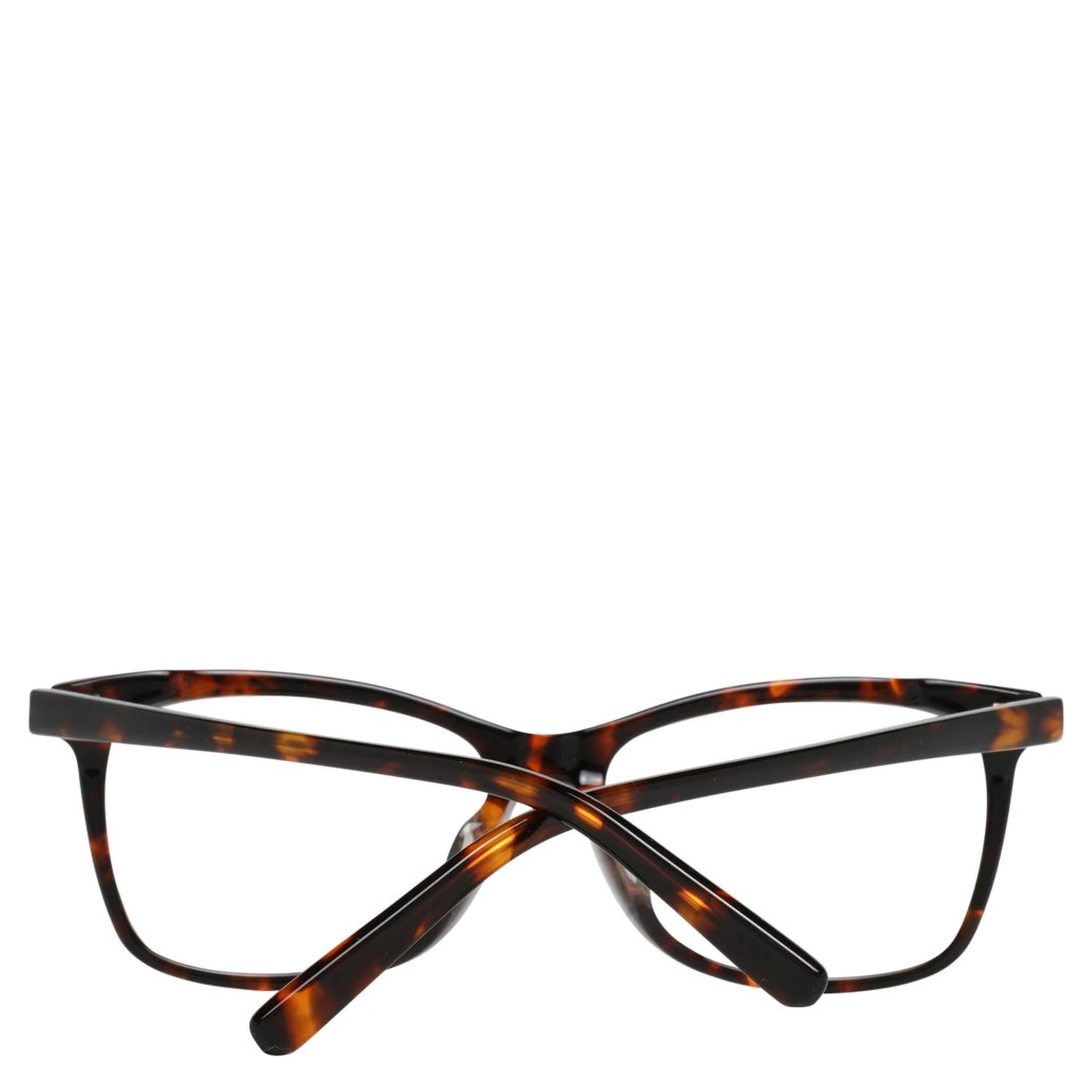 Brown Plastic Glasses (Frames)