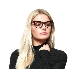 Brown Plastic Glasses (Frames)