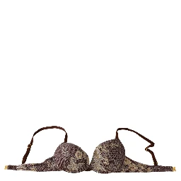 Brown Lace Beachwear Two Piece Bikini Swimsuit