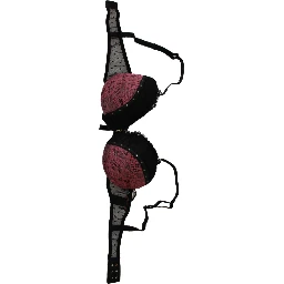 Black Pink Lace Push Up Bra Underwear