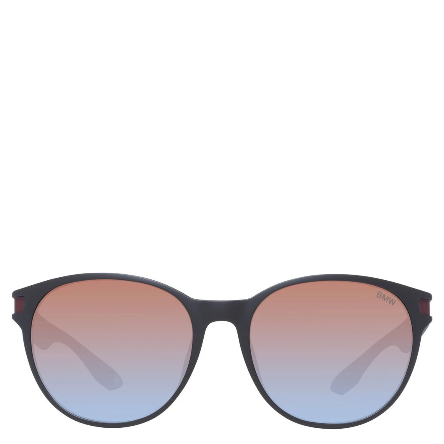 Brown Plastic Sunglasses