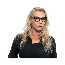Brown Metal & Plastic Glasses (Frames)