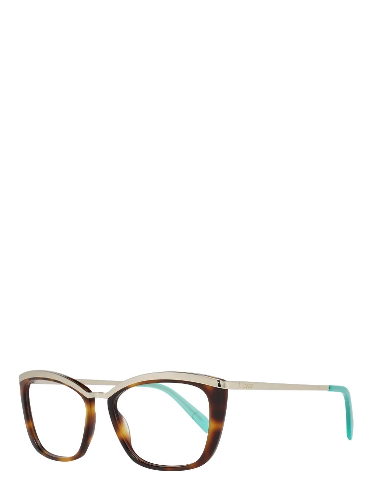 Brown Metal & Plastic Glasses (Frames)