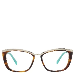 Brown Metal & Plastic Glasses (Frames)