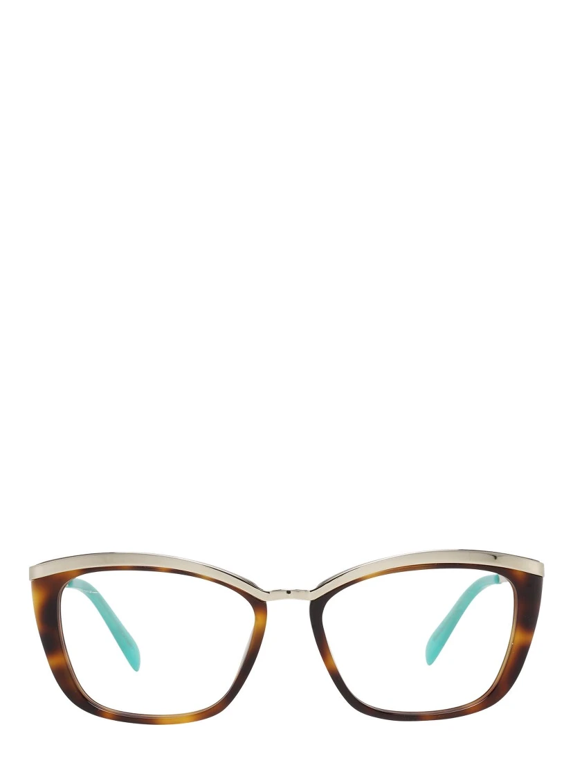 Brown Metal & Plastic Glasses (Frames)