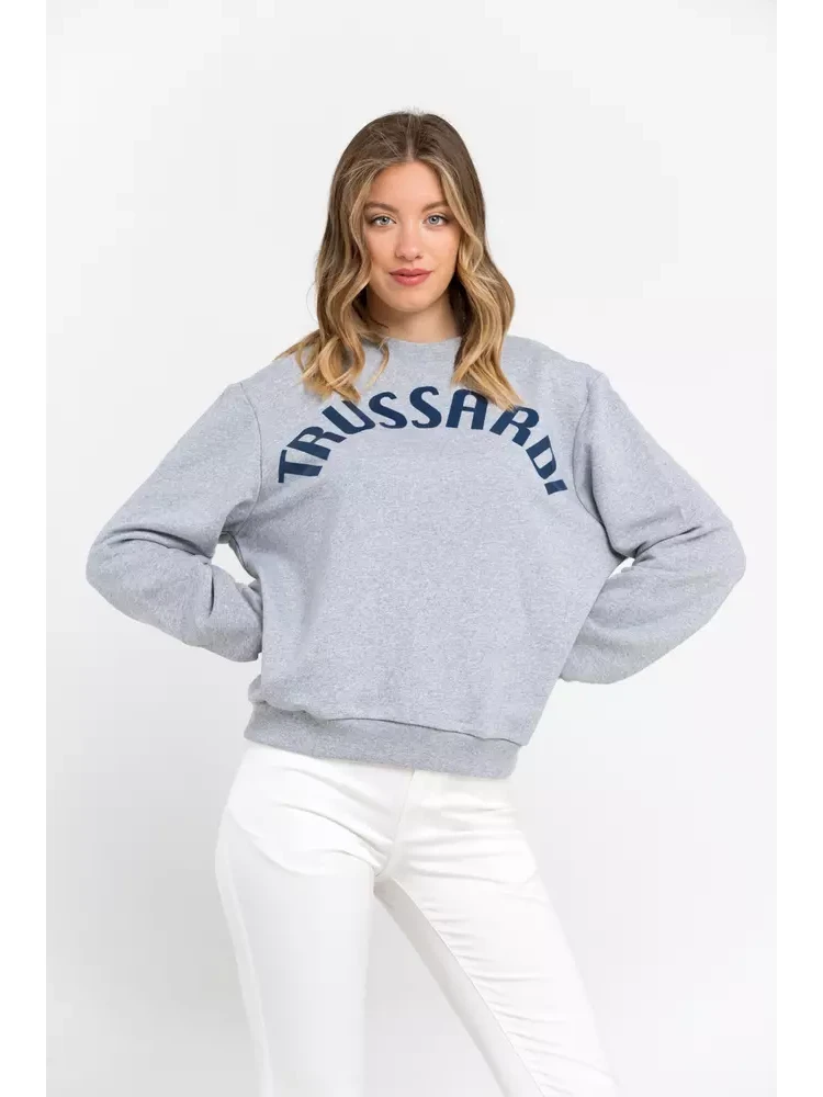 Gray Cotton Sweatshirt alternative