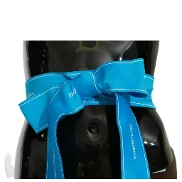 Blue Waist Ribbon Wide Bow Belt