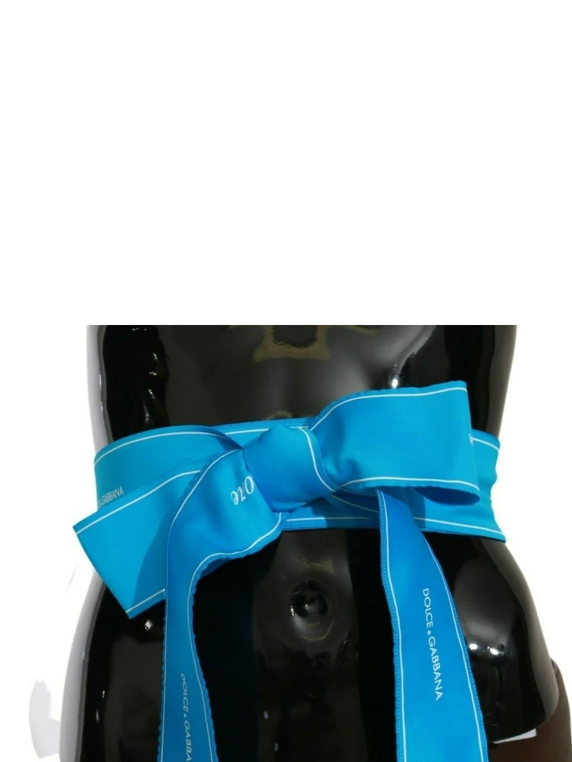 Blue Waist Ribbon Wide Bow Belt