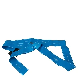 Blue Waist Ribbon Wide Bow Belt