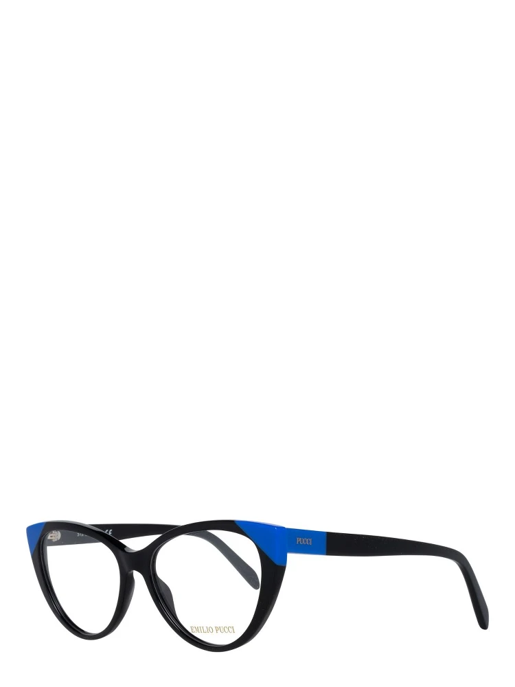 Black Plastic Glasses (Frames)