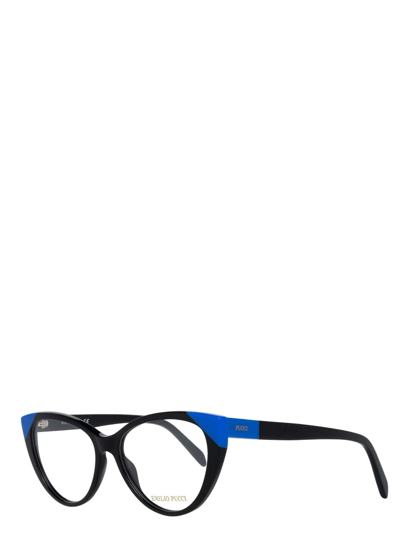 Black Plastic Glasses (Frames)