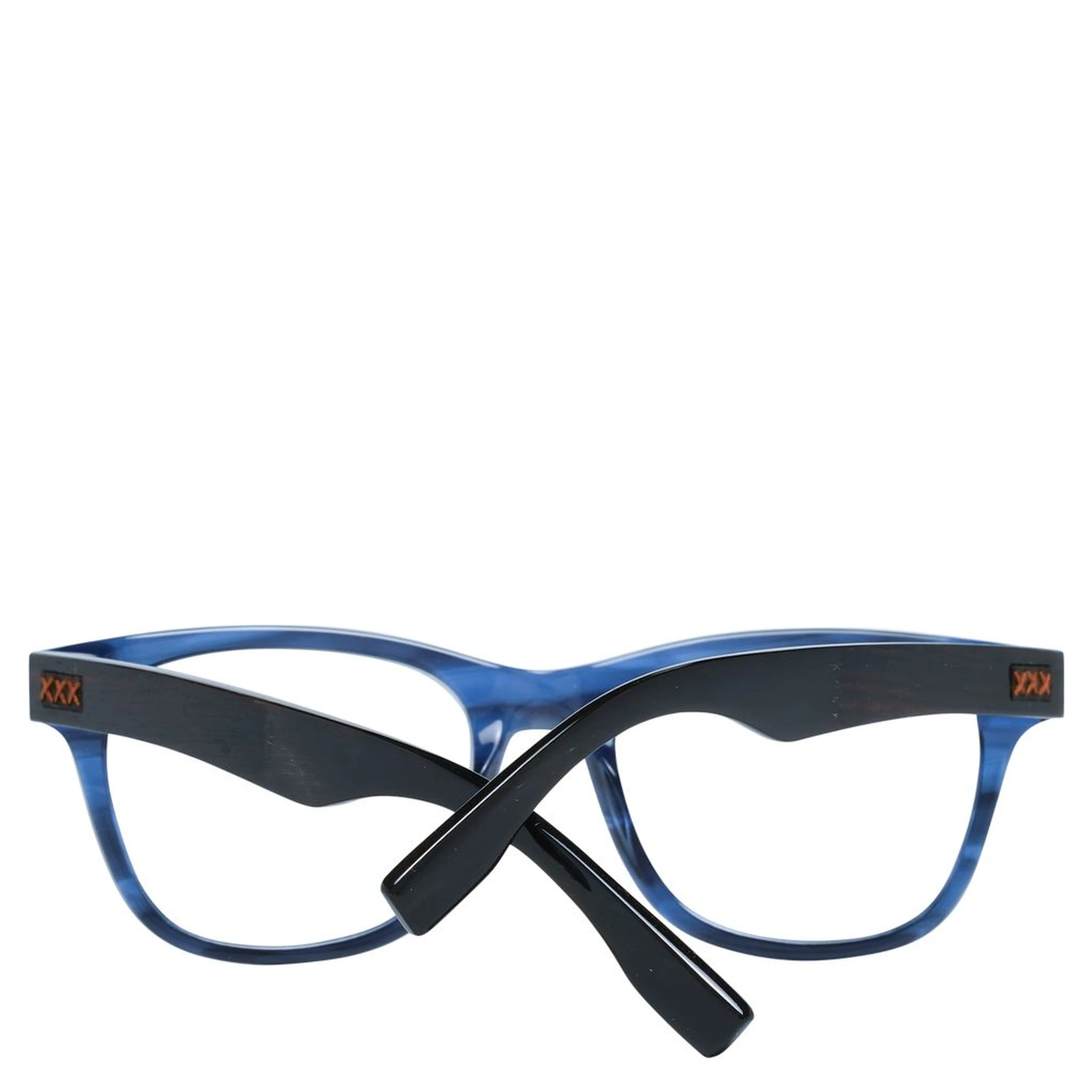 Blue Plastic Glasses (Frames)