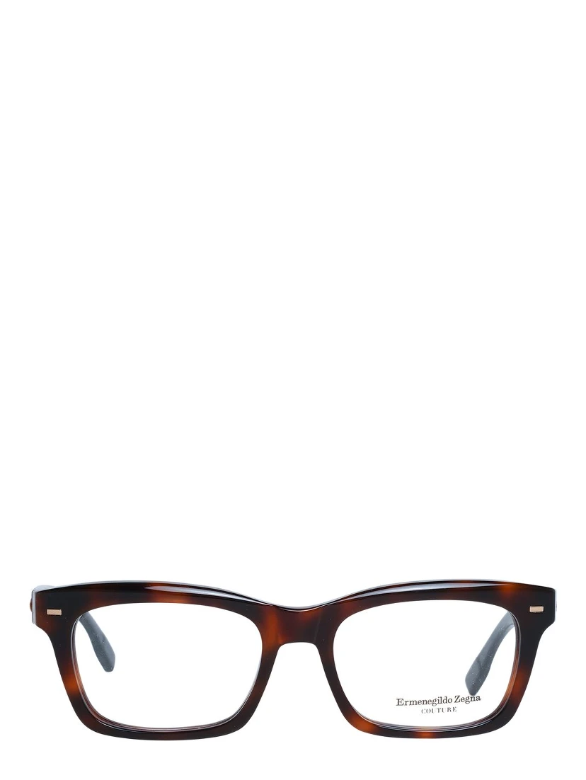 Brown Plastic Glasses (Frames)