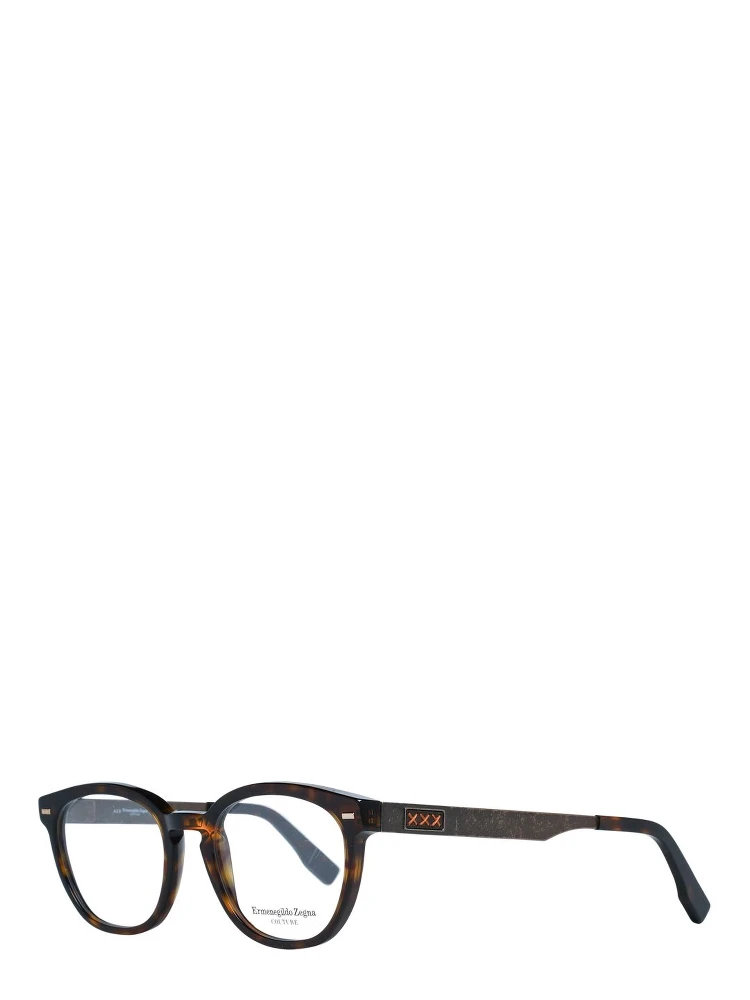 Brown Plastic Glasses (Frames)