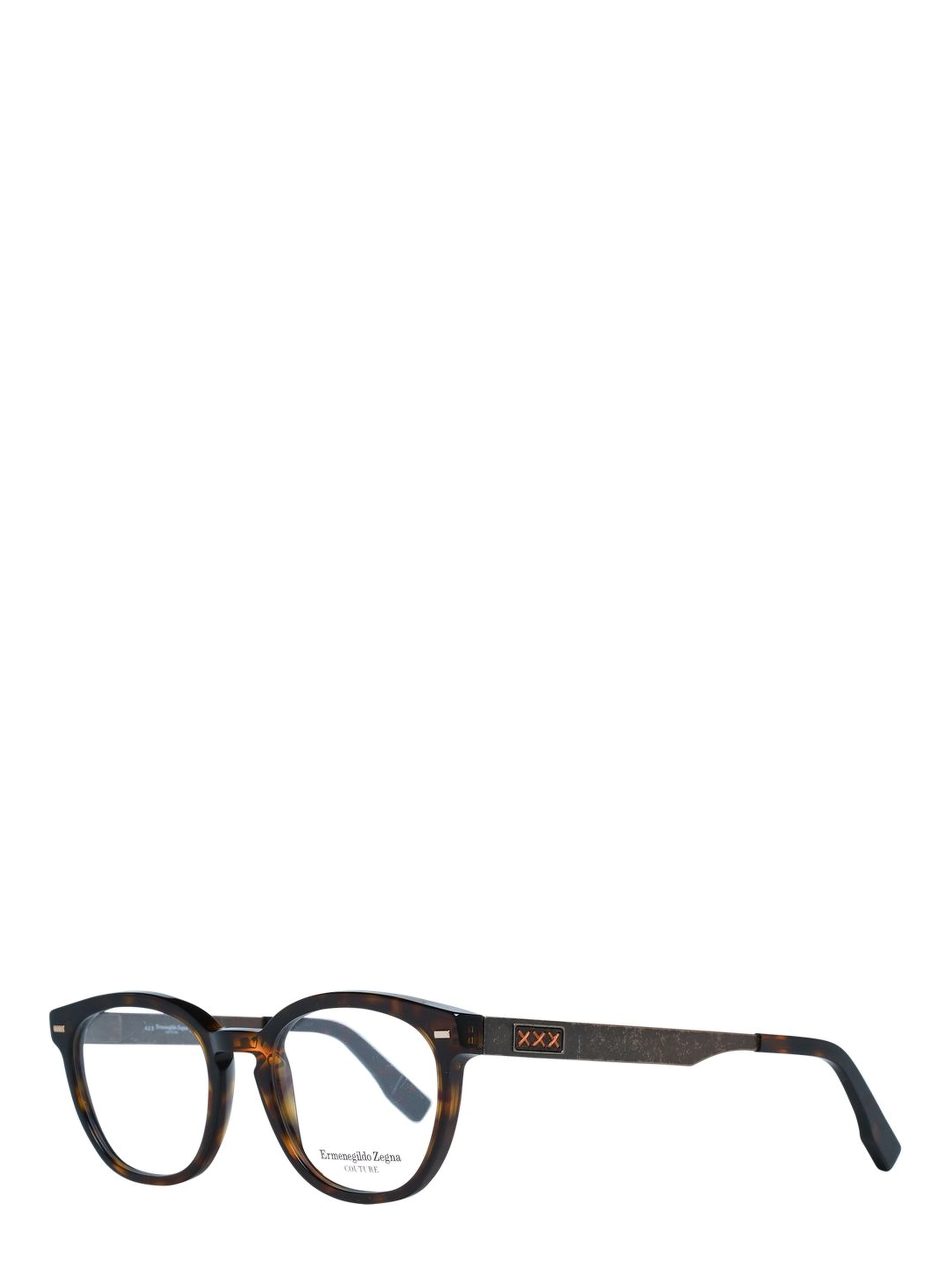 Brown Plastic Glasses (Frames)