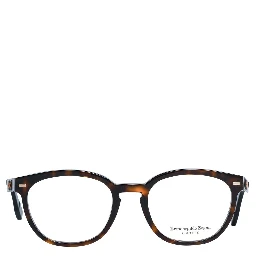 Brown Plastic Glasses (Frames)