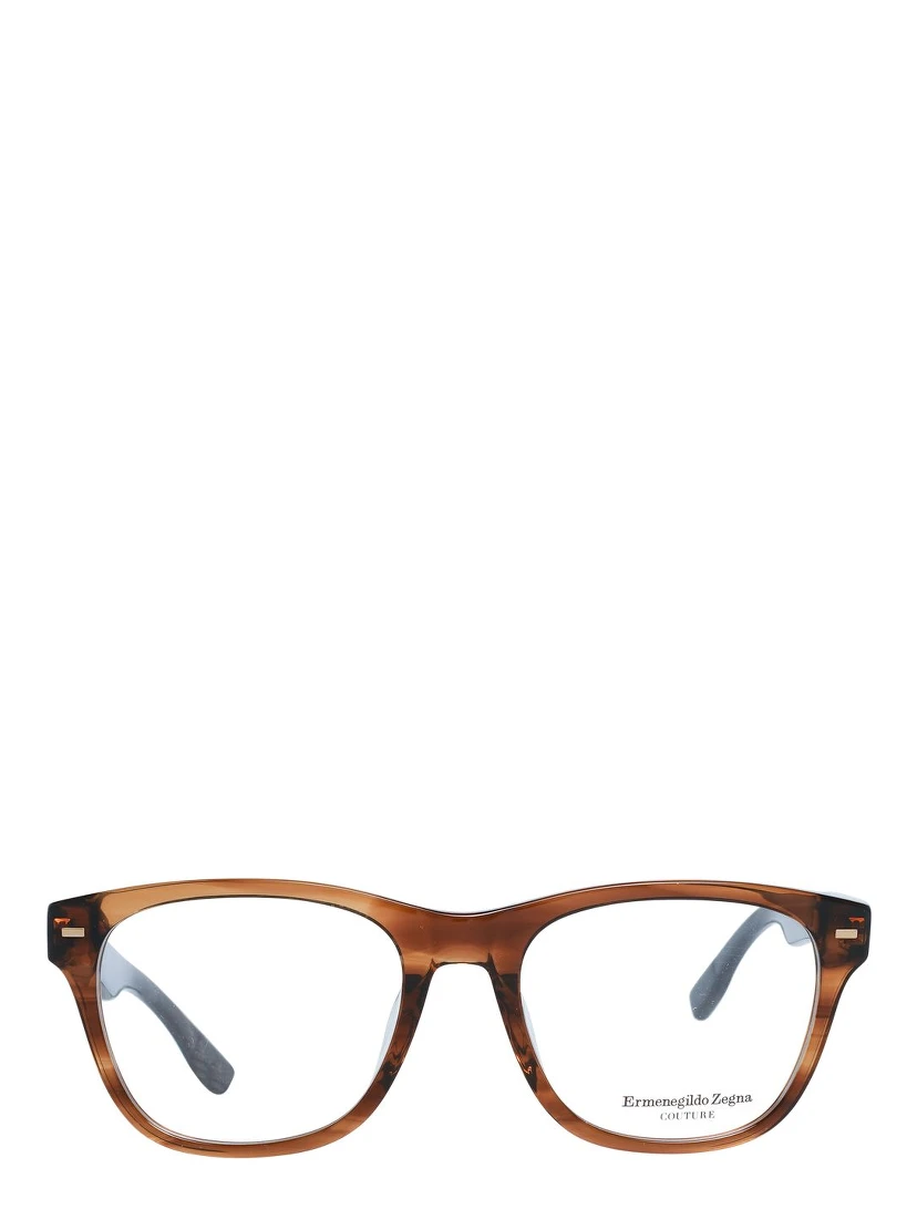 Brown Plastic Glasses (Frames)