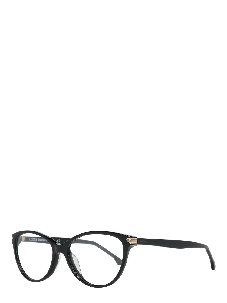 Black Plastic Glasses (Frames)