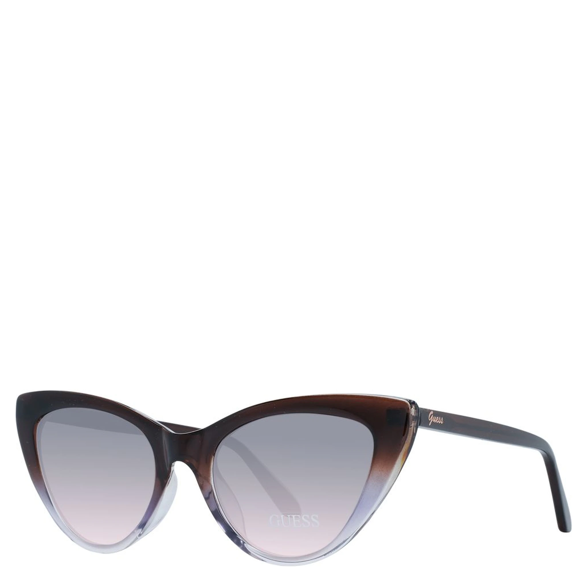 Brown Plastic Sunglasses