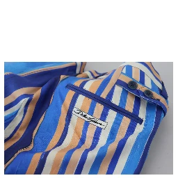 Blue Striped Silk Cotton Slim Trousers Pants