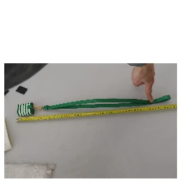 Green Leather Strap Gold Metal Logo Airpods Case