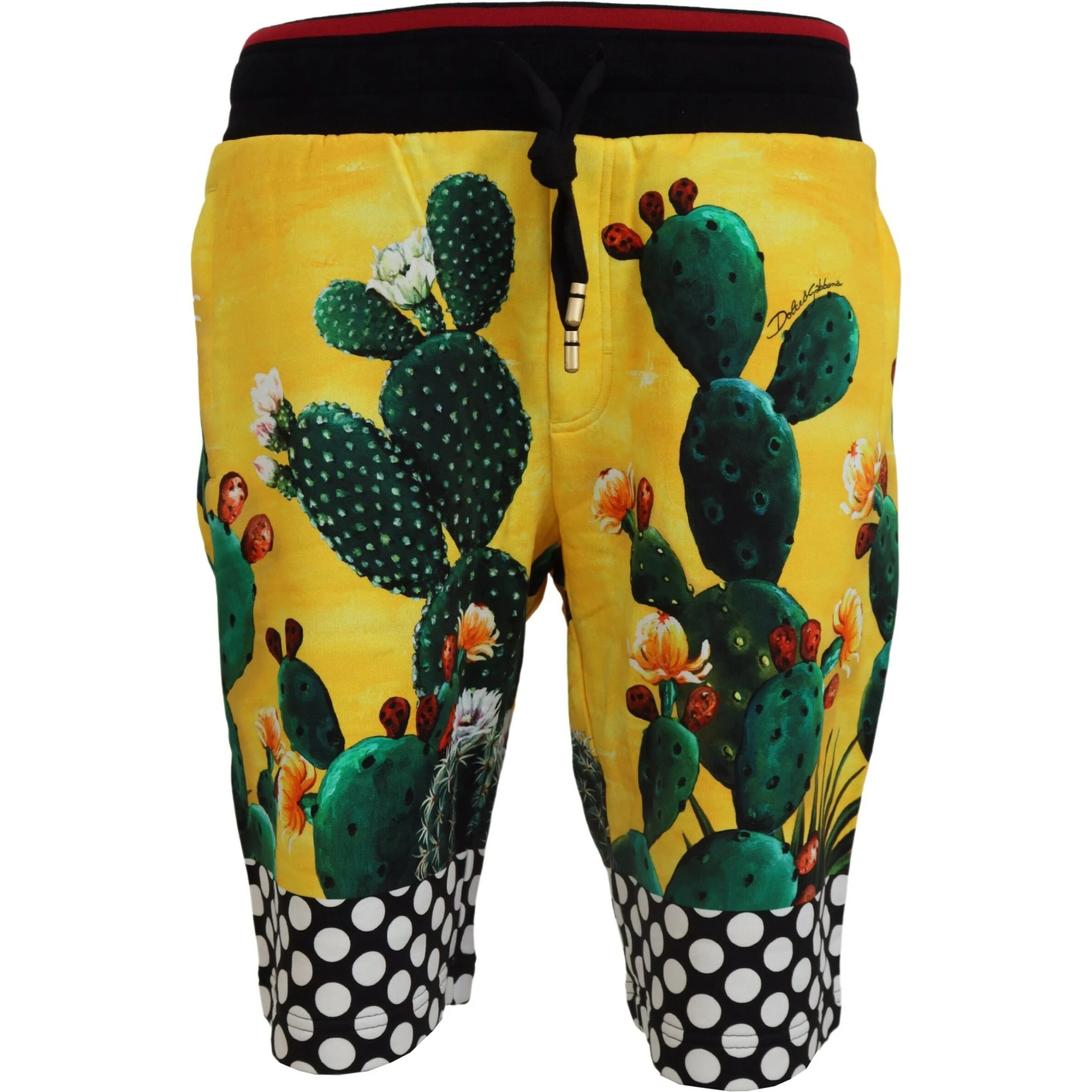 Multicolor Cactus Print Cotton Sweat Shorts
