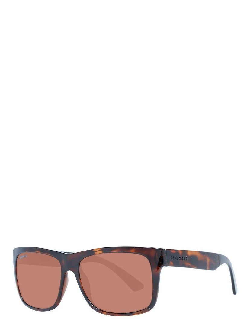 Brown Plastic Sunglasses