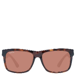 Brown Plastic Sunglasses