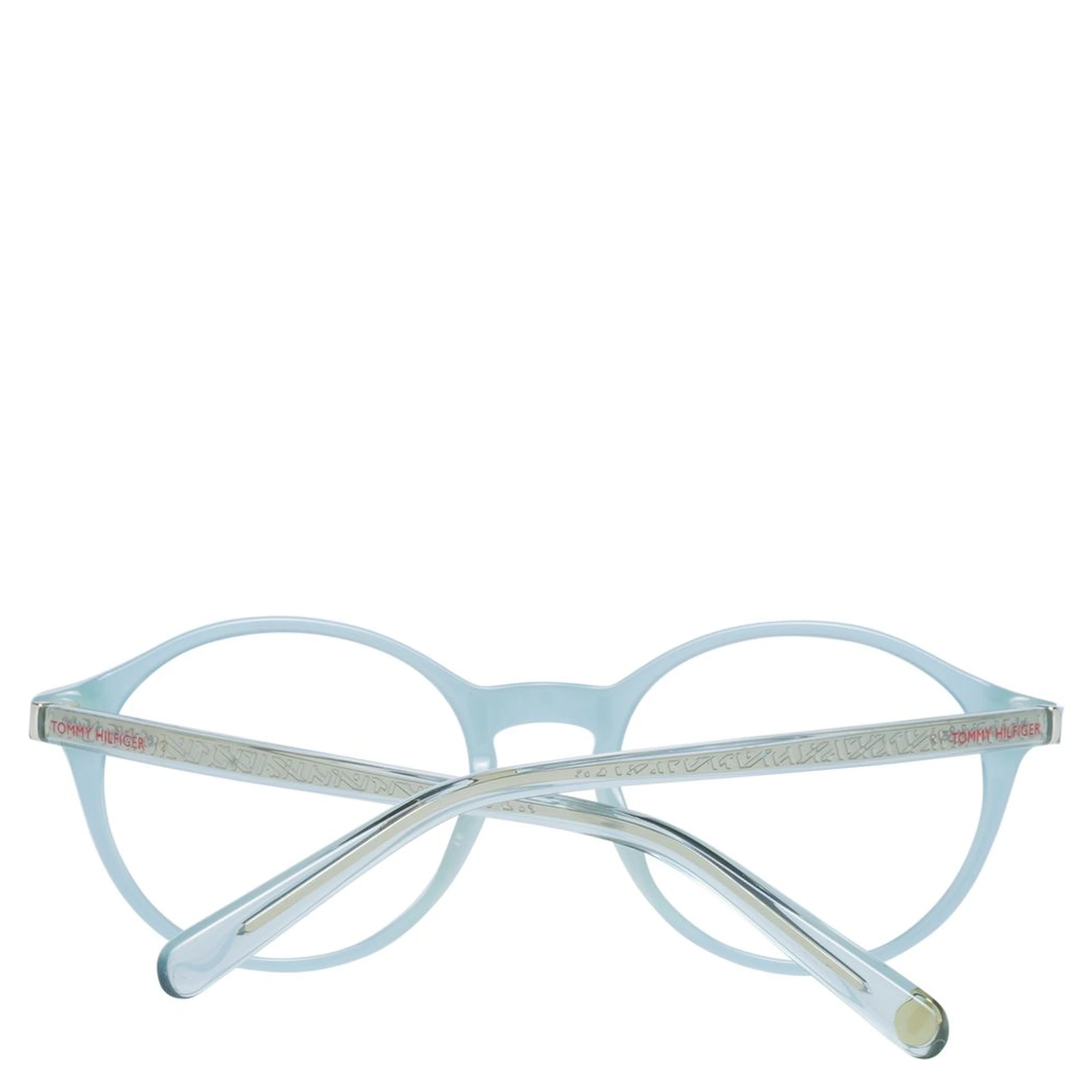 Blue Plastic Glasses (Frames)