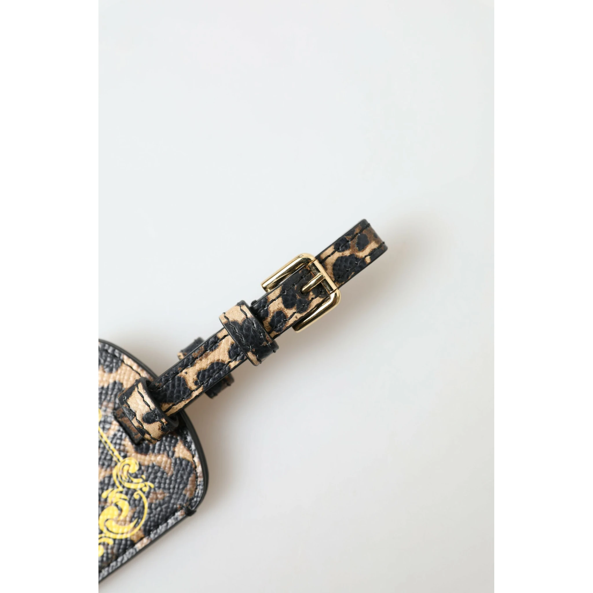 Multicolor Leopard Dauphine Leather DG Logo Luggage Tag