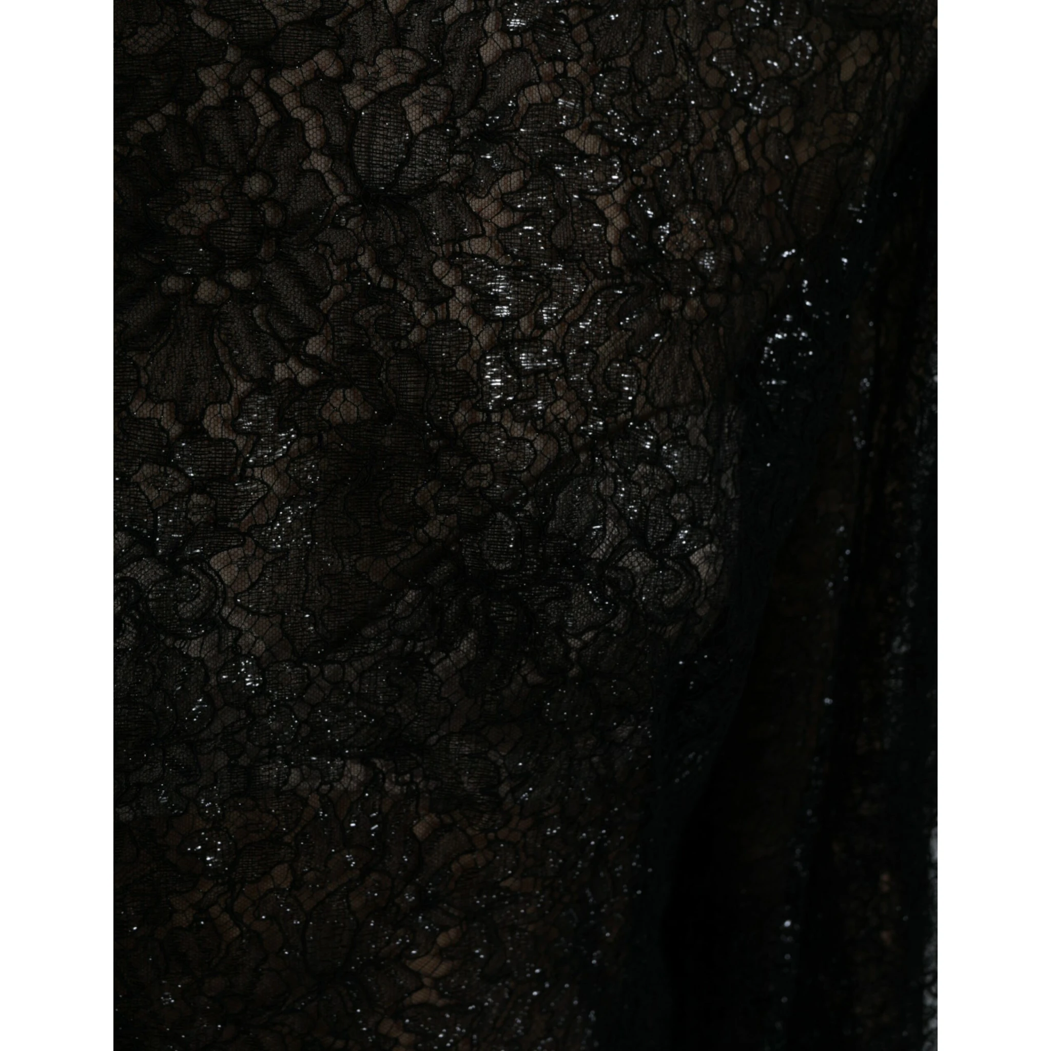 Black Floral Lace Sheer A-line Midi Dress